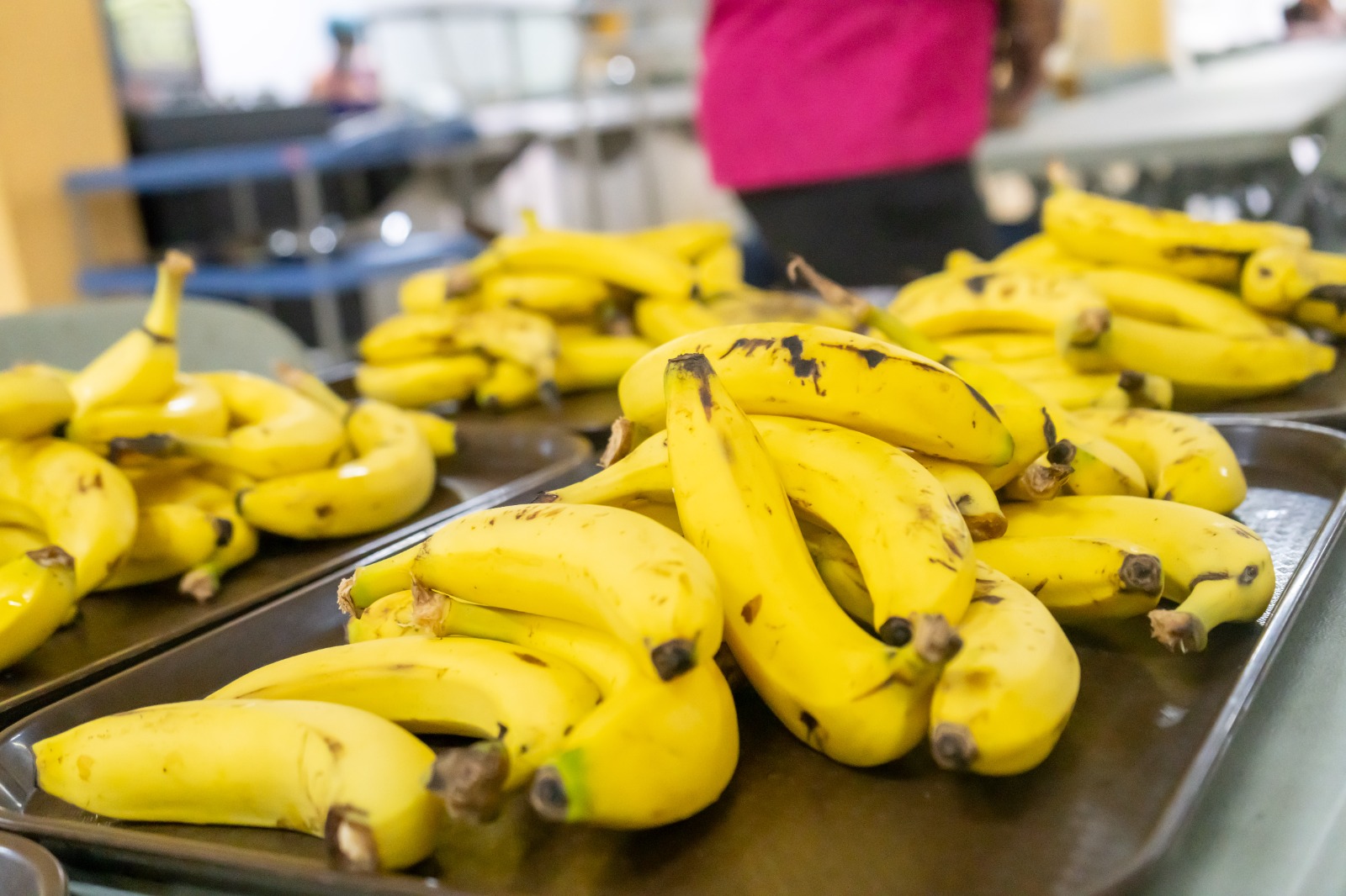 INABIE advierte suplidores que no cumplan con menú de frutas podrían ser deshabilitados para la próxima licitación